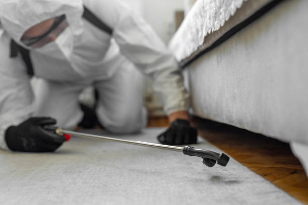 Professional Cockroach Control technician working in Marcellus, MI