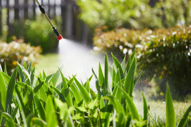 24/7 Emergency Cockroach Control experts in Marcellus, MI