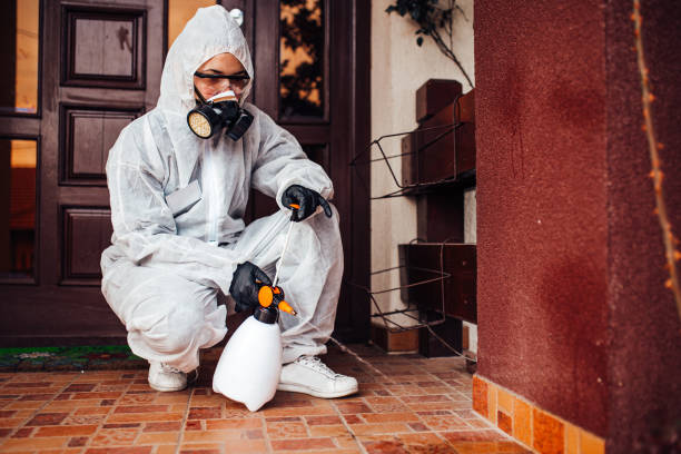 Reliable Cockroach Control contractor in Marcellus, MI by Nex Pest Control