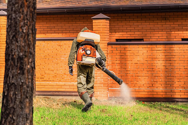 Top rated local Cockroach Control specialists in Marcellus, MI